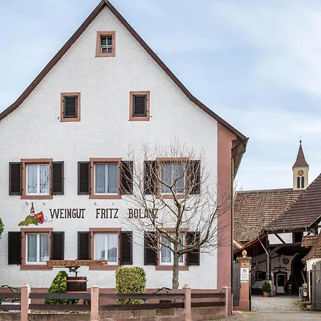 Ferienwohnung Bolanz Auggen Exterior photo